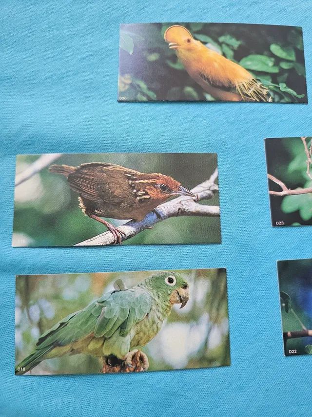 Figurinhas álbum chocolate surpresa animais da amazônica  - Foto 2