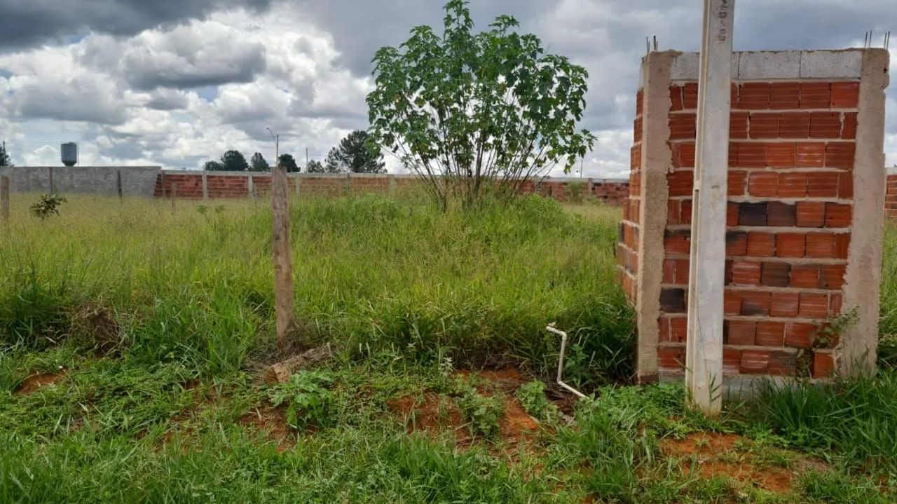 foto - Brasília - Setor de Mansões Dom Bosco (Lago Sul)