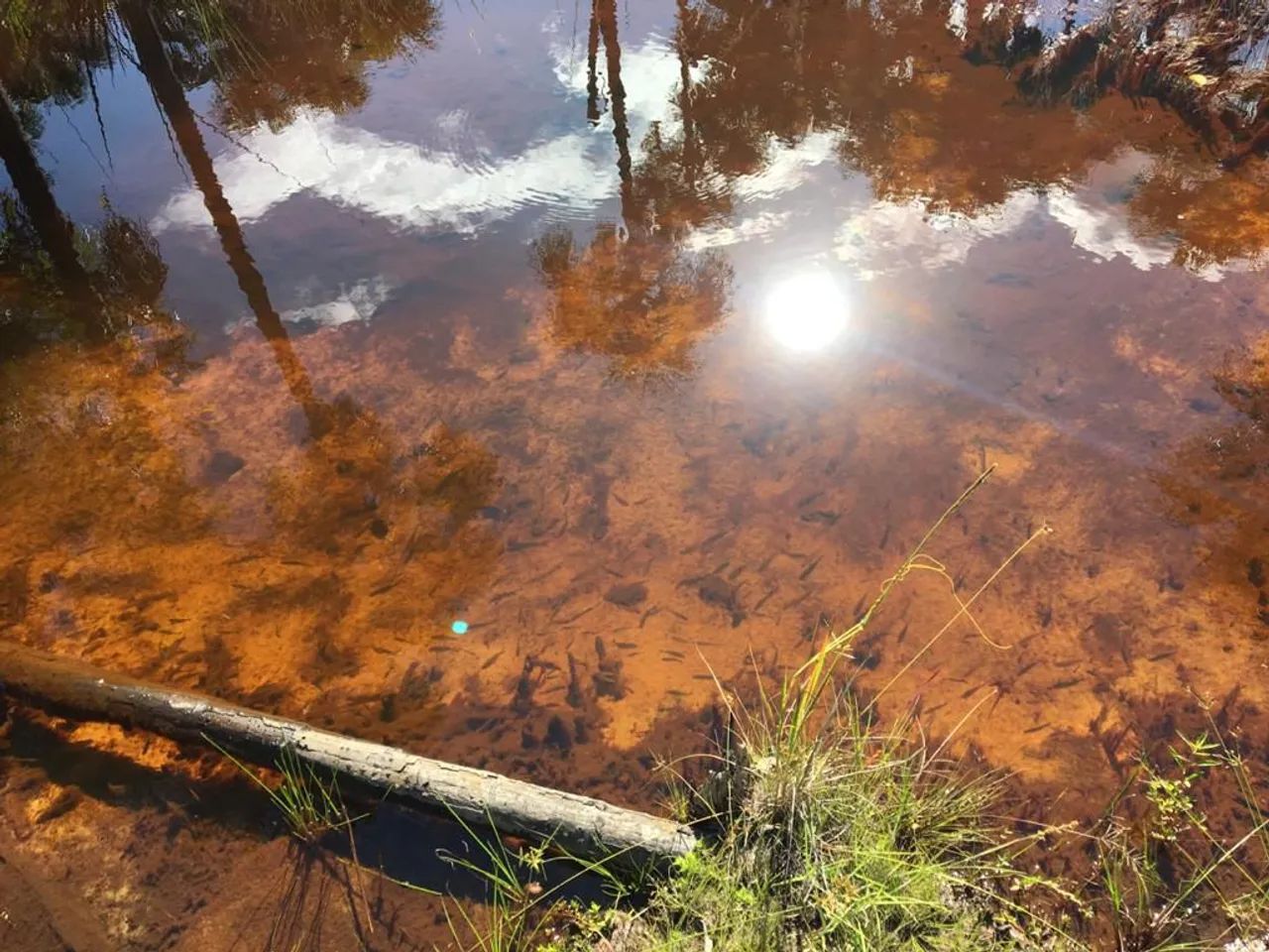 foto - Teresina - Parque Brasil