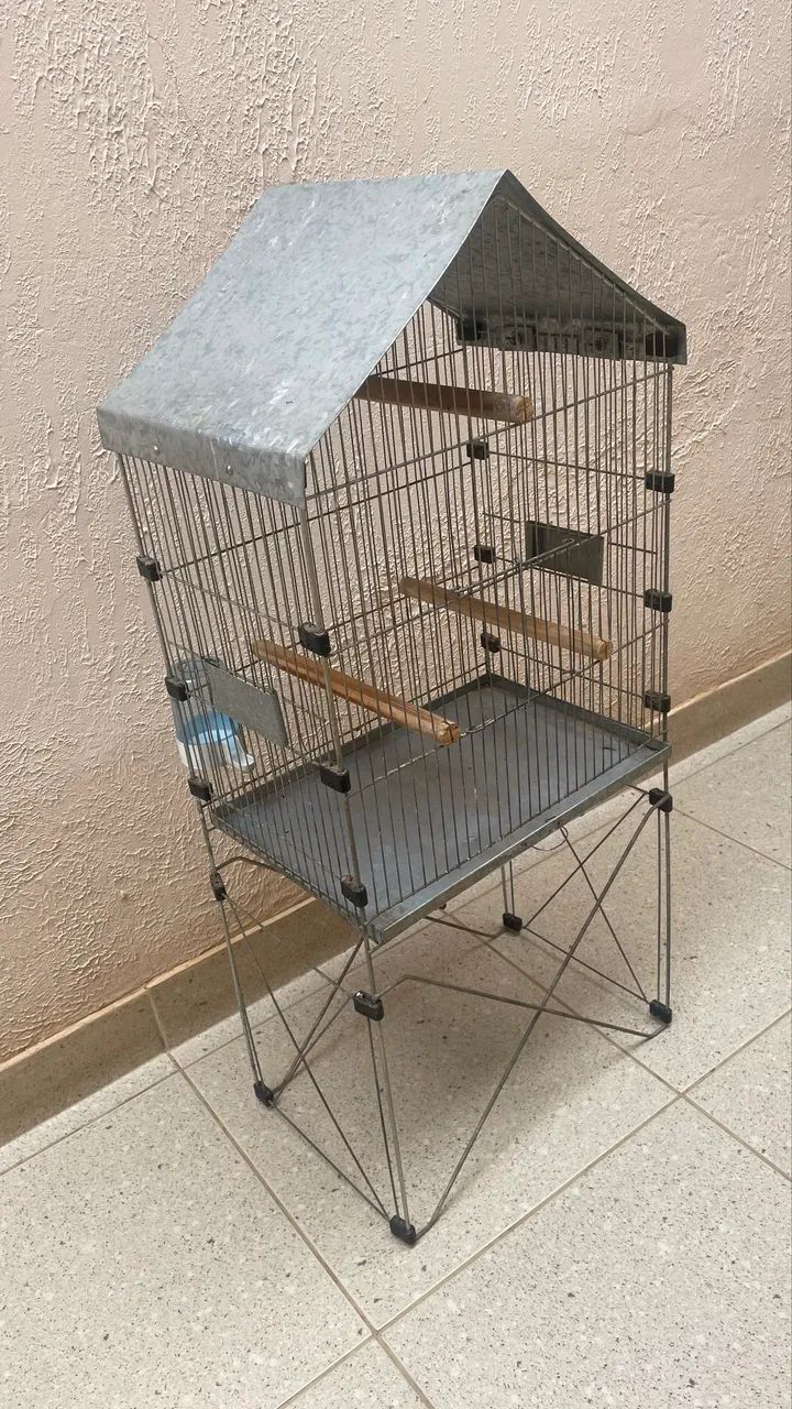 GAIOLA 64304560804738121