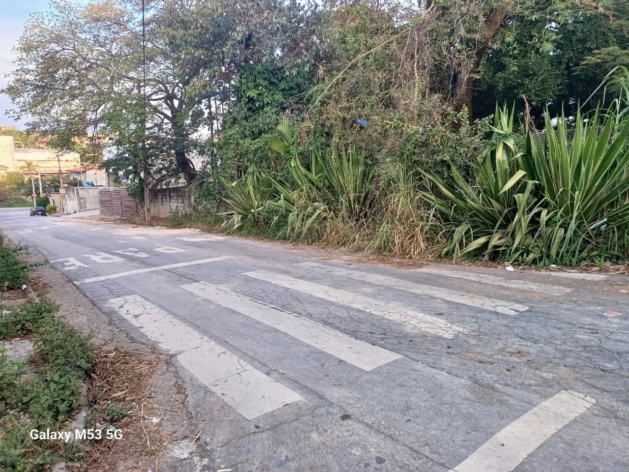 oportunidade lote bem localizado betim alterosas, lote comercial. - Foto 12