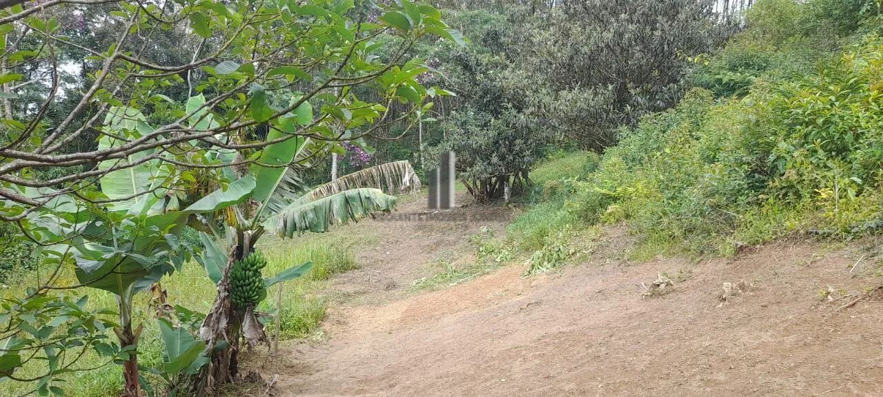 SÍTIO NO MUNICÍPIO DE TAPIRAÍ SP. VENDA - Foto 5