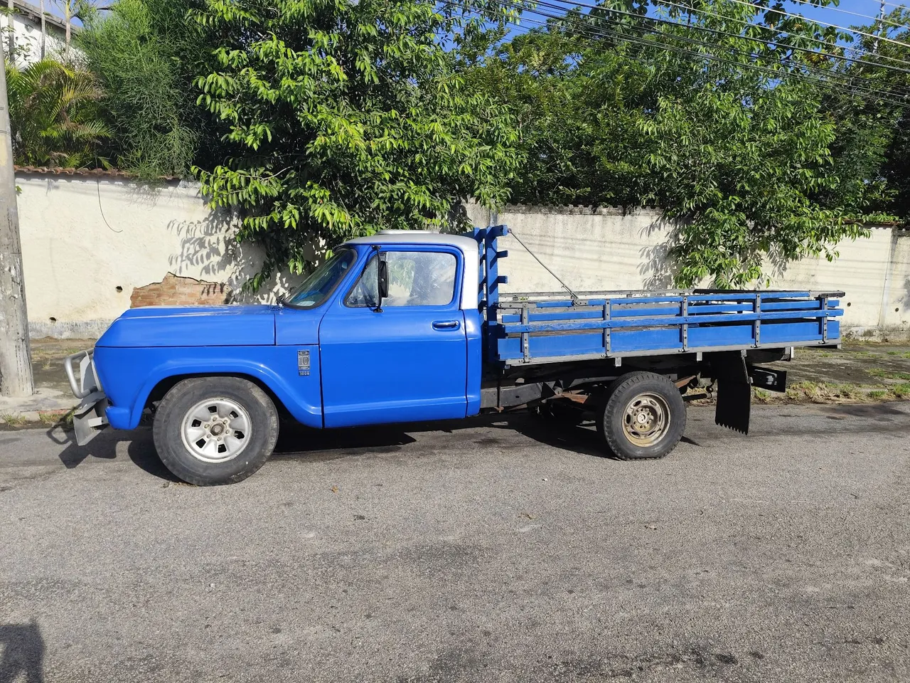 Caminhão D20