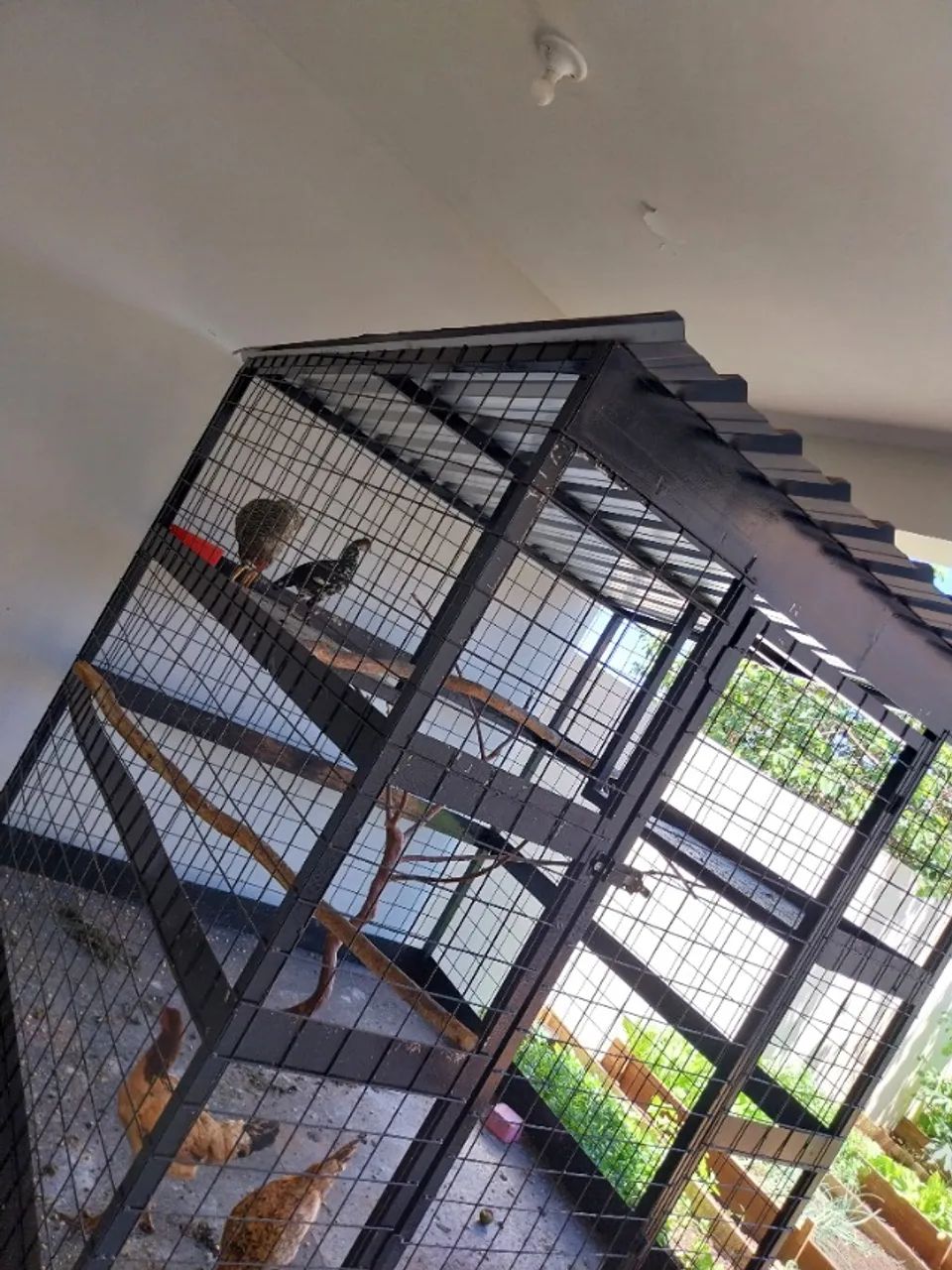 Viveiro grande  - Foto 4