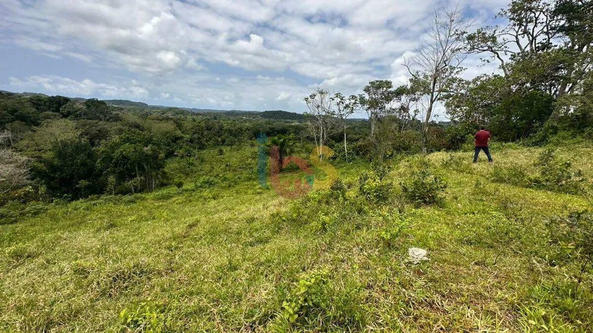 Vendo Fazenda em Ilhéus - Foto 5