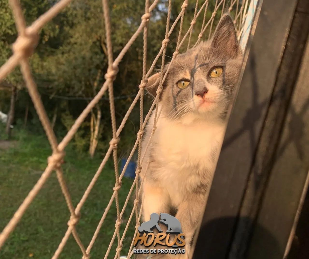 Redes de proteção para gatos e crianças  - Foto 3