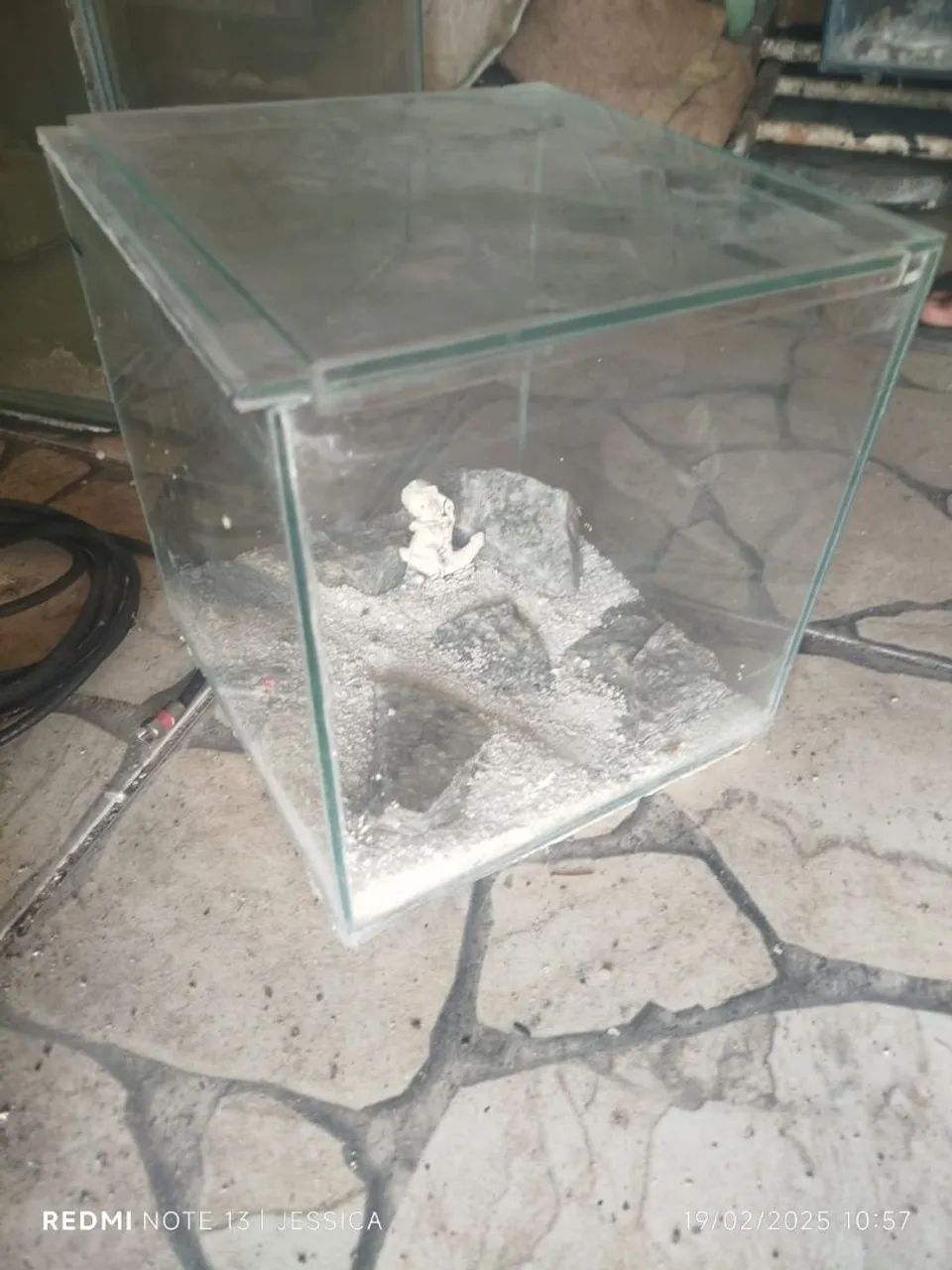 Aquário de diversos tamanhos  - Foto 2