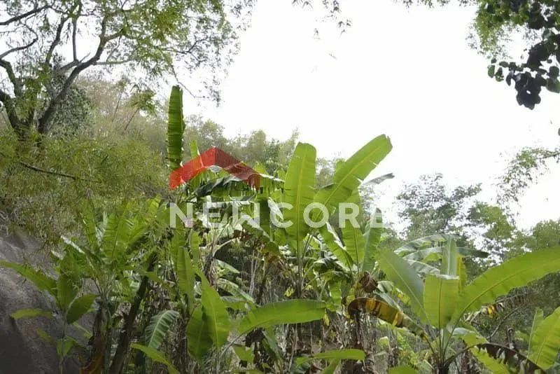 Sítio em Estrada Professor Brigido Tinoco - Vila Progresso - Niterói/RJ - Foto 4