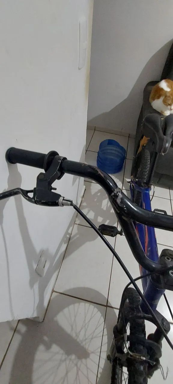 Bicicleta Aro 20 - Foto 4