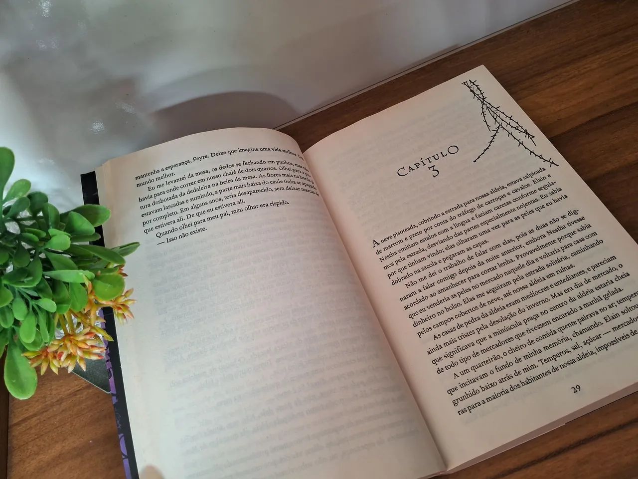 Livro Corte de Espinhos e Rosas (Edição de 2017) - Foto 5