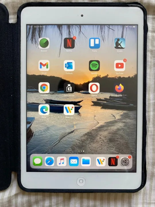 ipad mini 16 gb