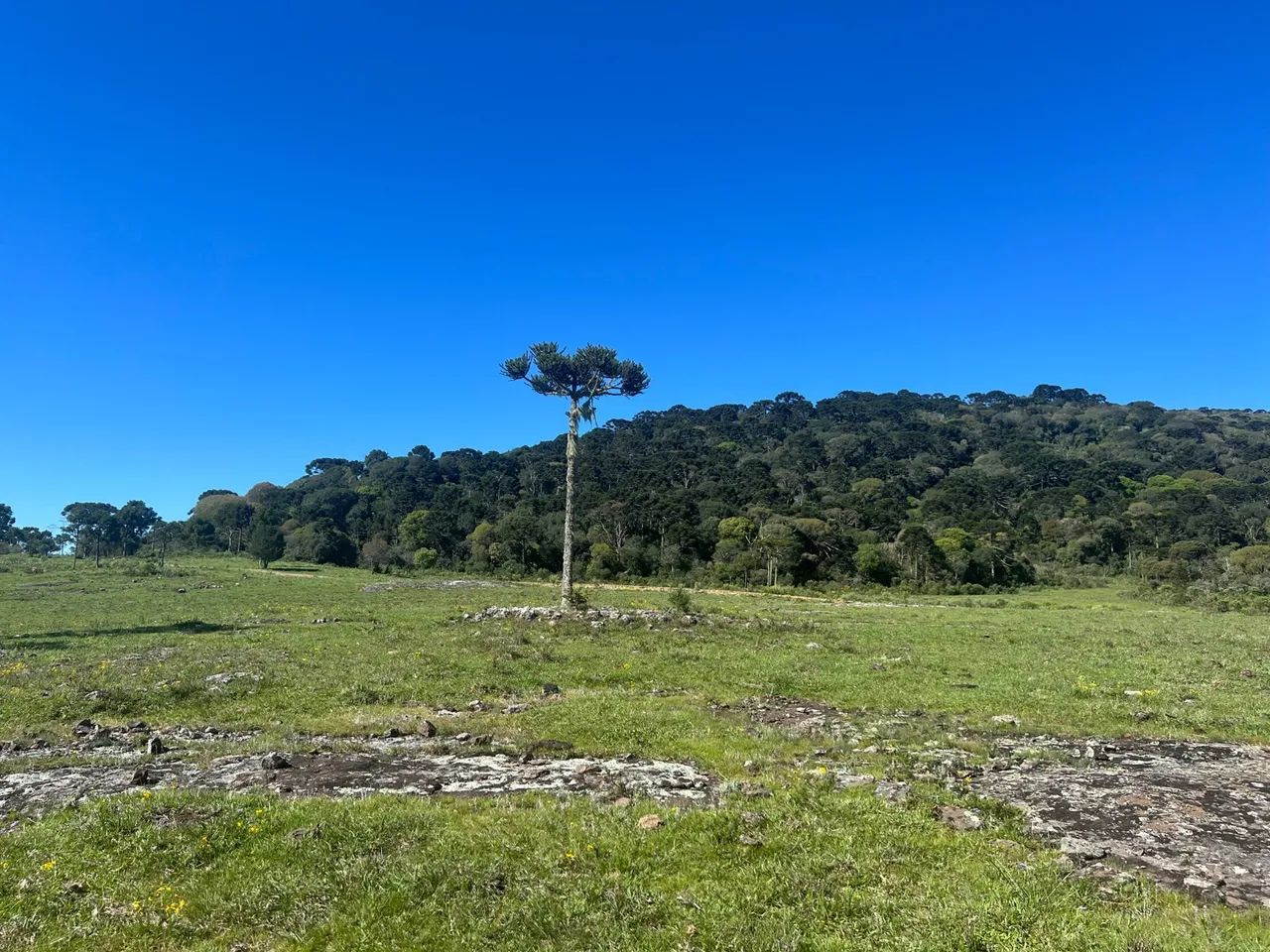 Terrenos em Urubici - a partir R$ 199 mil. - Foto 3