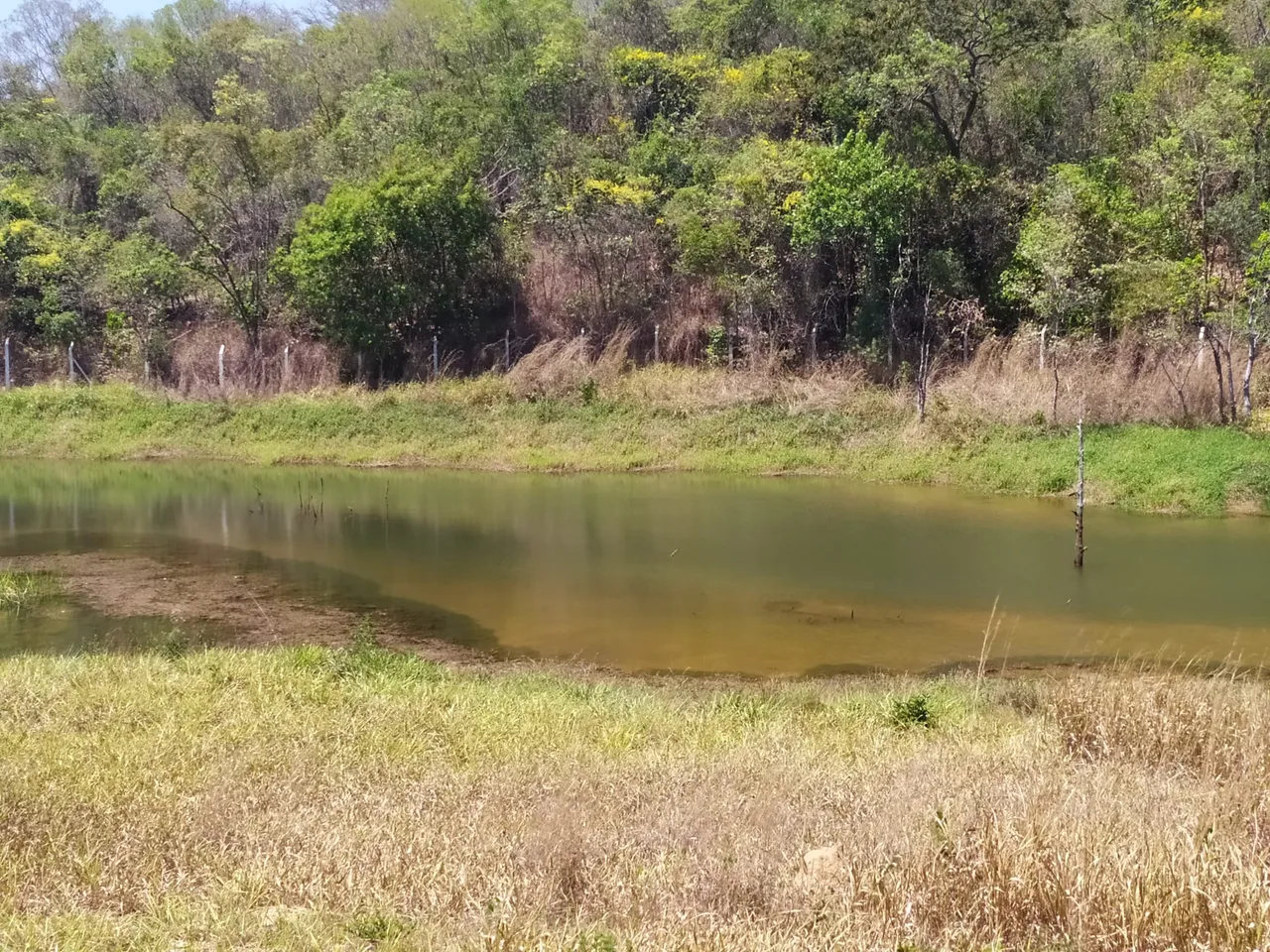 Lote/Terreno para venda tem 1000 metros quadrados em Jequitibá - MG
