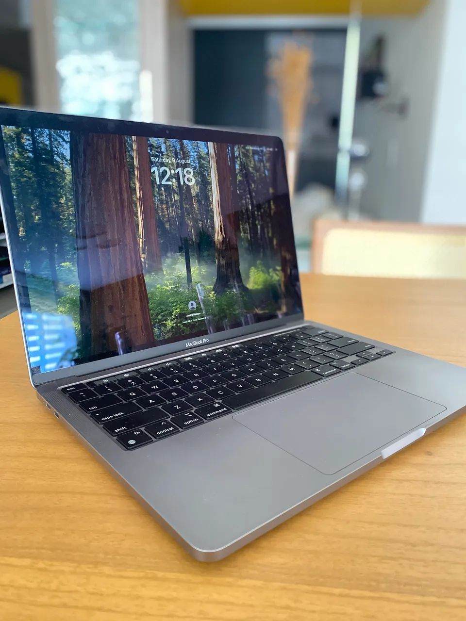 Macbook 12? 2017 SpaceGray - A1534: 512Gn SSD 8GB de RAM