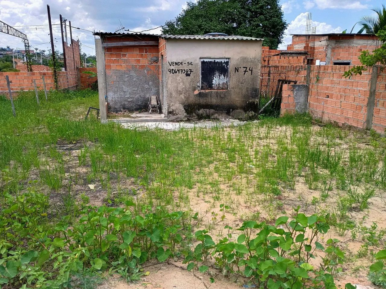 foto - Manaus - Monte das Oliveiras