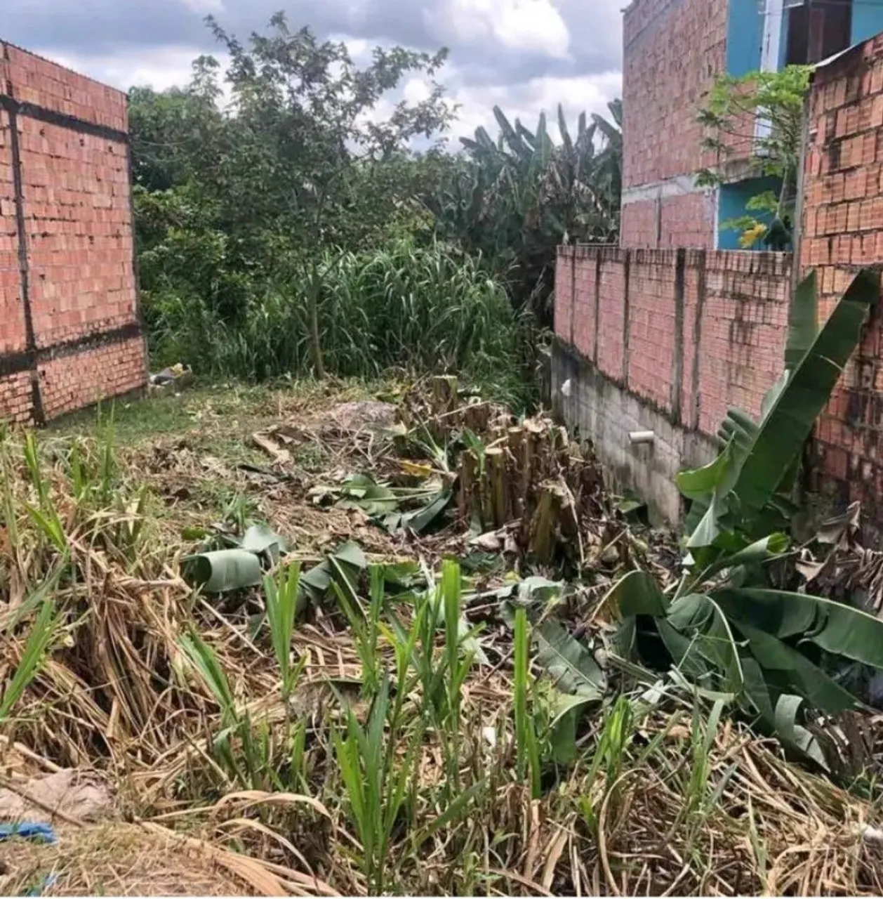 Vendo terreno