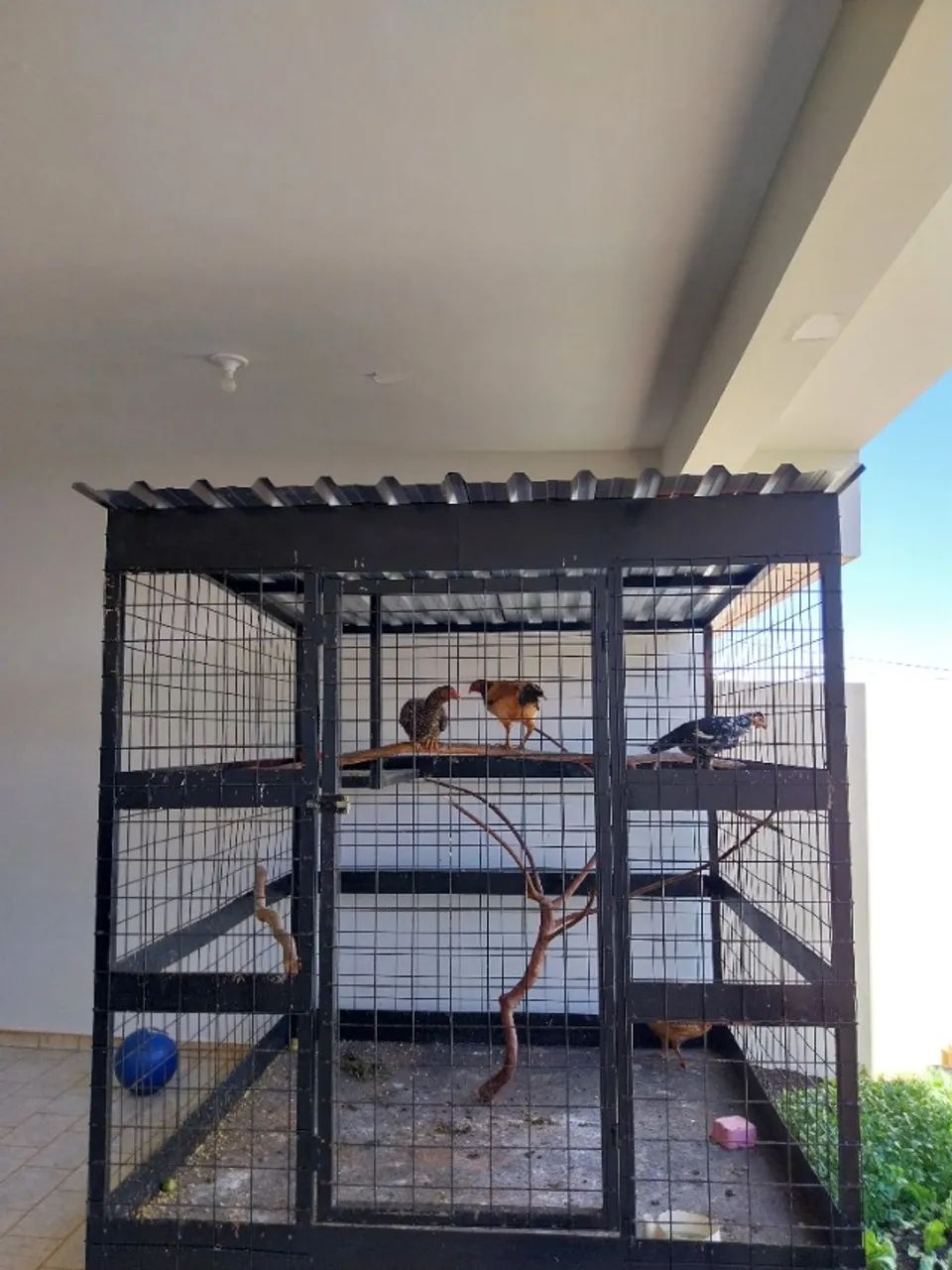 Viveiro grande  - Foto 2