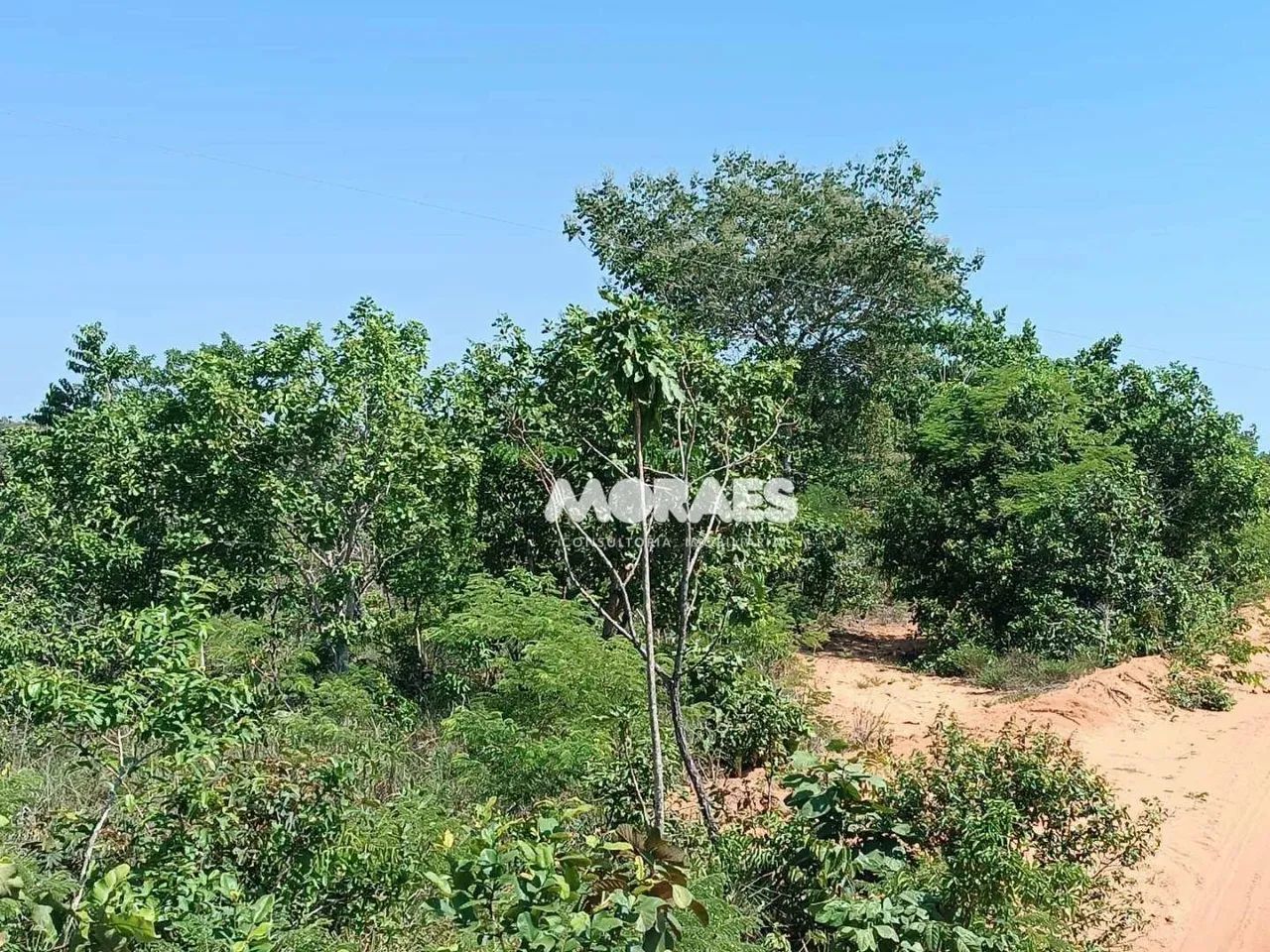 Fazenda à venda, 1892,35 Hectares por R$ 12.000.000 - Recursolândia/TO - Foto 2