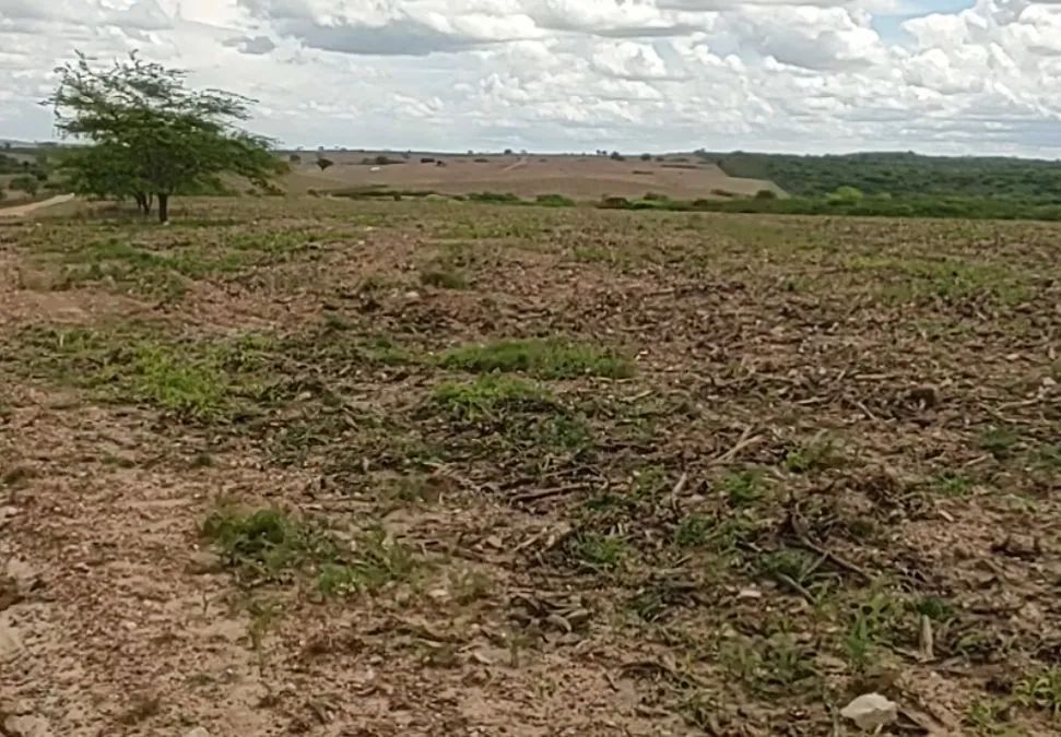 FAZENDA À VENDA (2.900 tarefas) - Foto 5