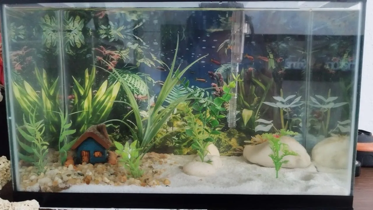 Aquário 20L - completo