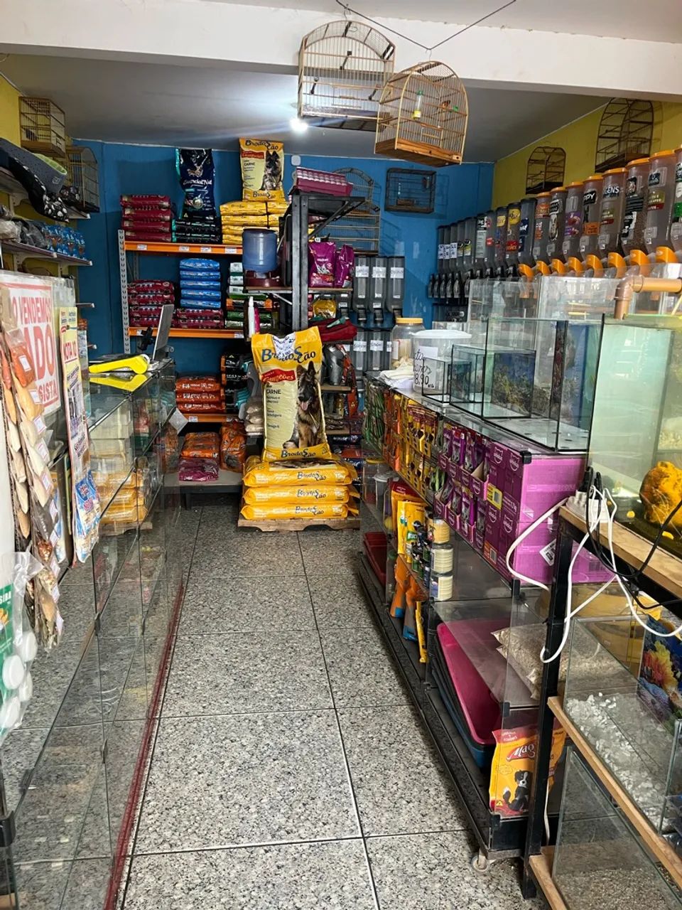 Vendo agropecuária!! - Foto 4