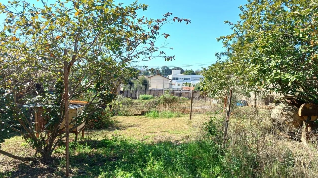 terreno - Chácara Primavera - Campinas - Foto 4
