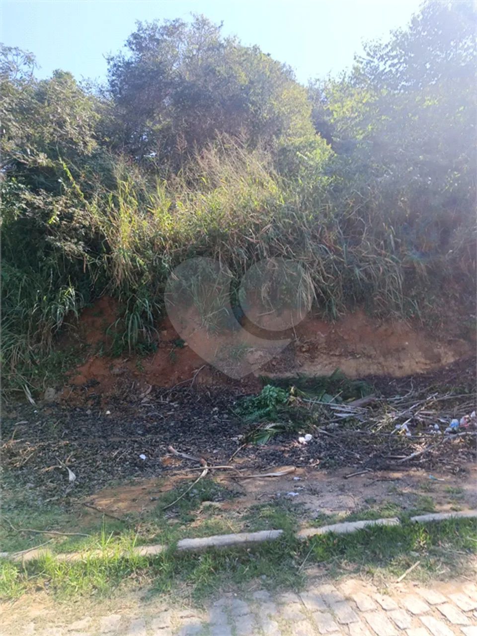 Terreno à venda em Brava - RJ - Foto 3