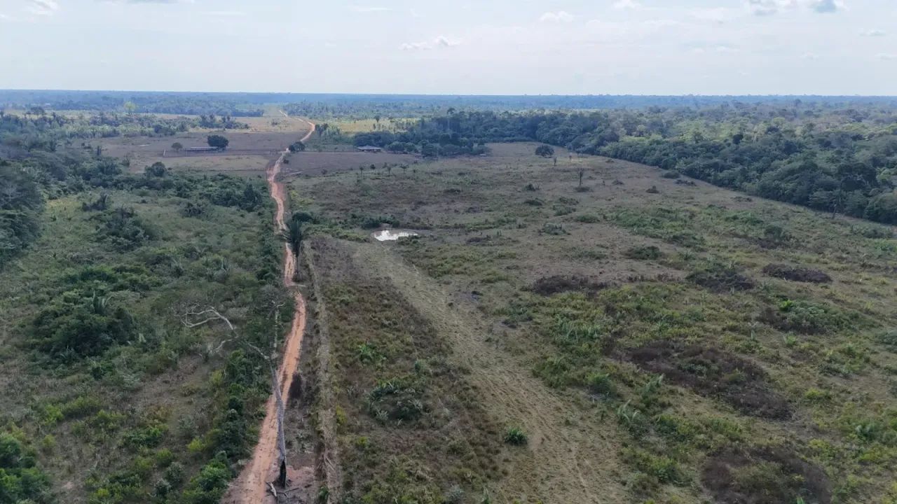 Fazenda em Canutama de 954,00 HA