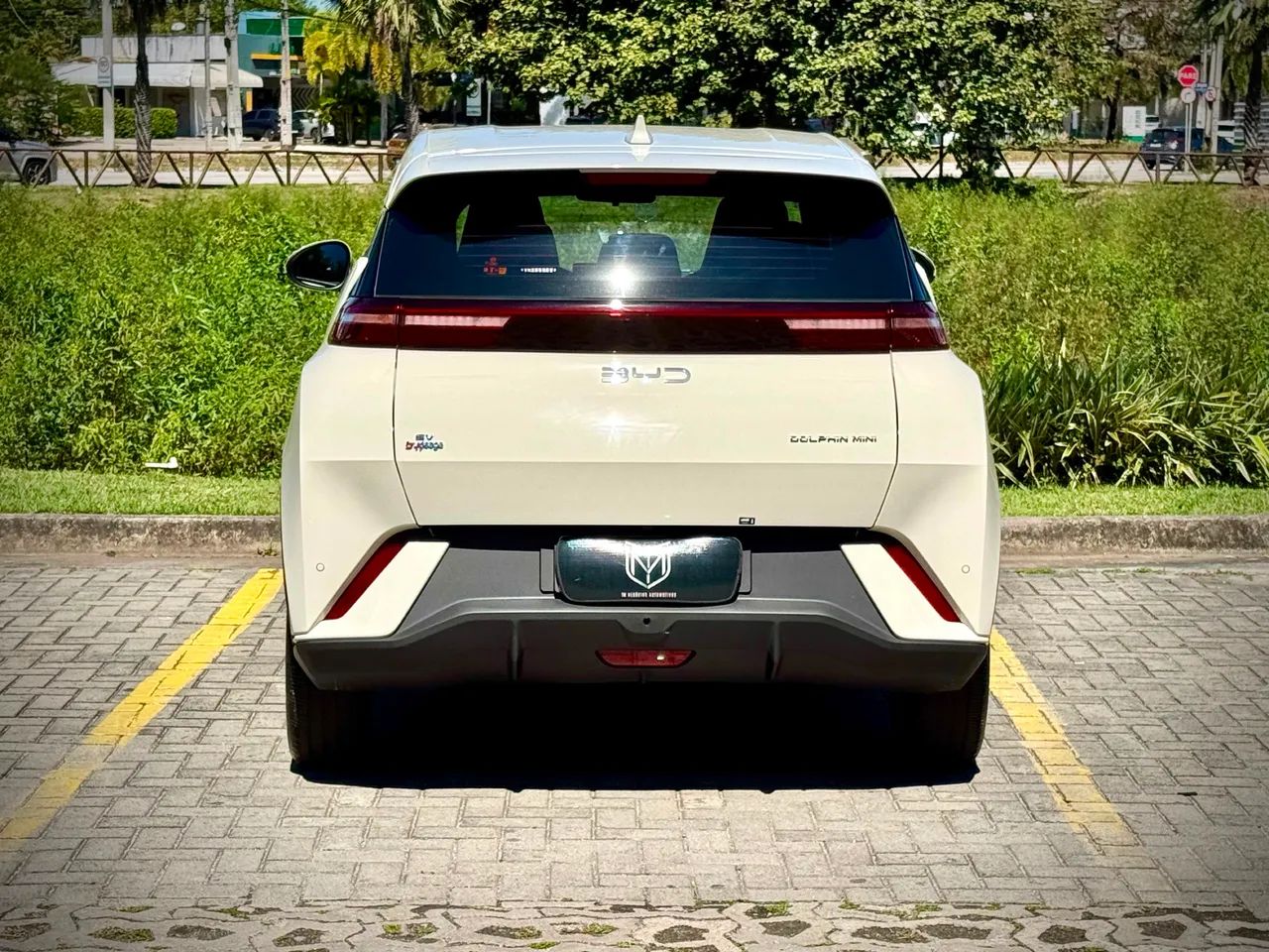 BYD Dolphin Mini (Elétrico) 2027 - Foto 4