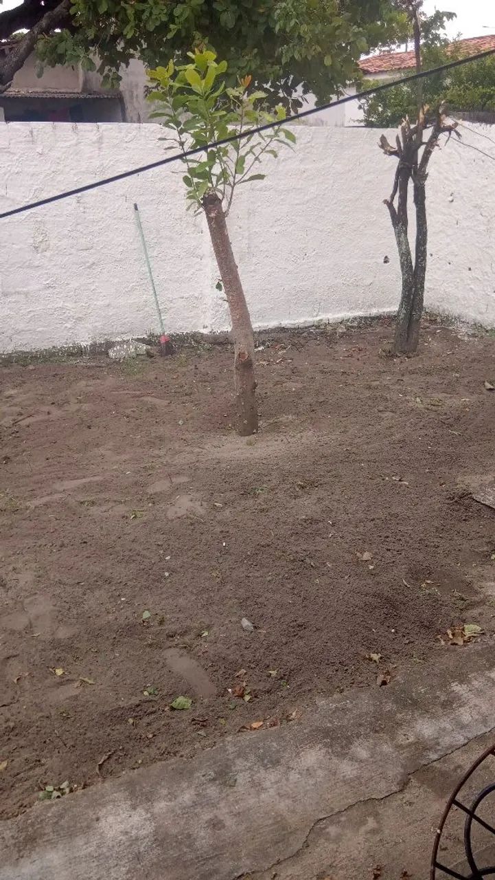serviços em gerais - Foto 2