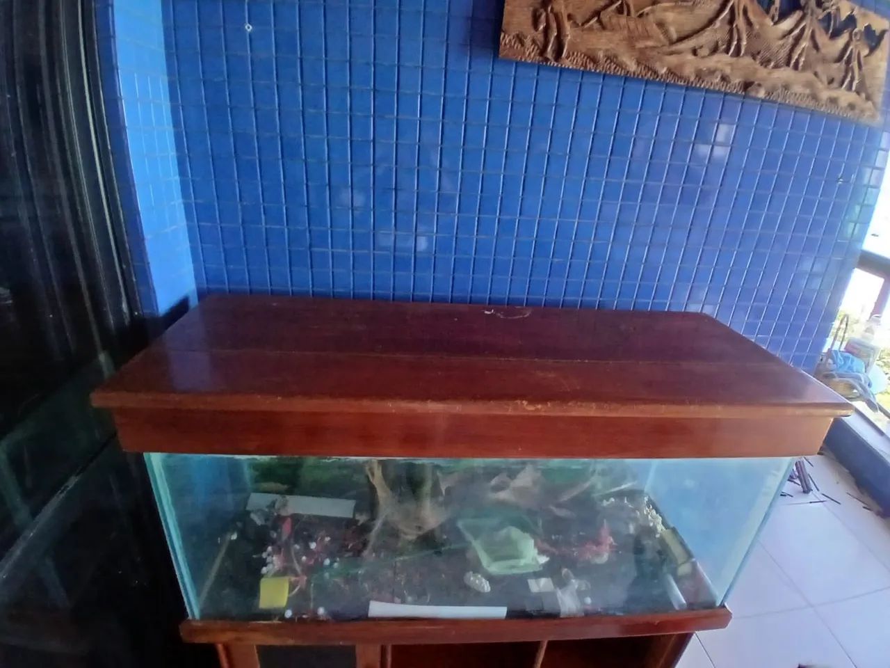 Aquario  - Foto 3