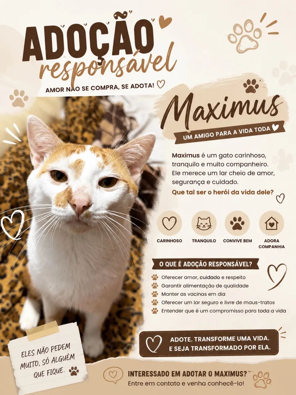 Adocao de 4 gatos lindos e doceis - Foto 2