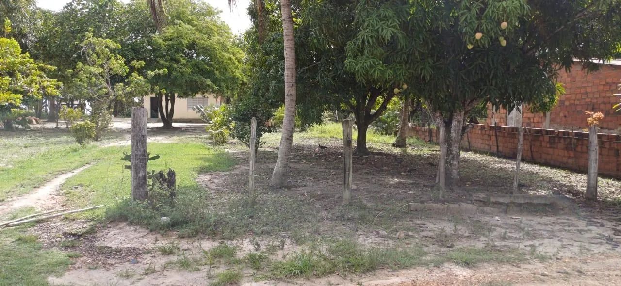 Sitio em São Cristovao - Foto 3