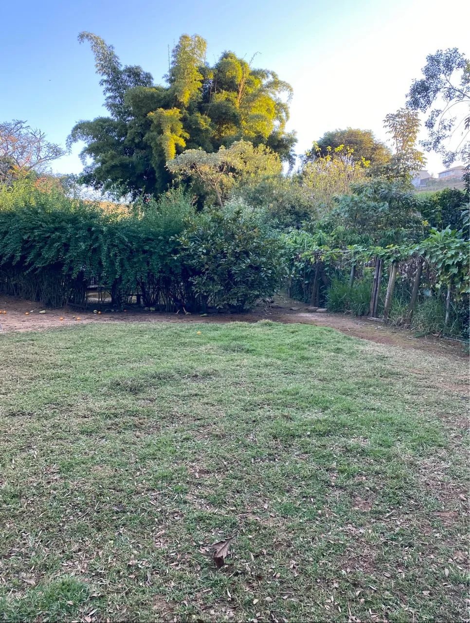 Lote em Campolide  - Foto 3