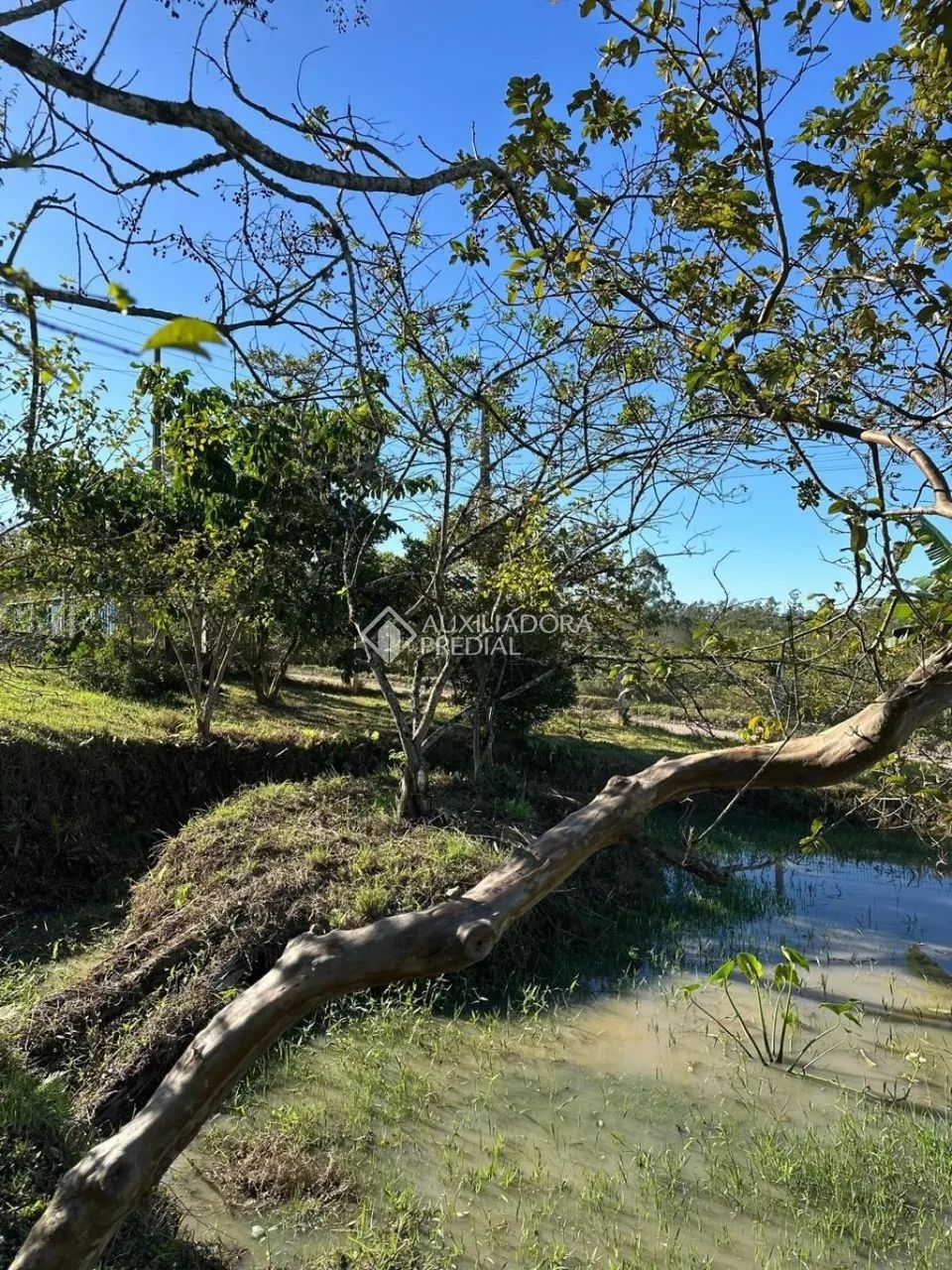 Lindo terreno matriculado e financiável - Foto 3