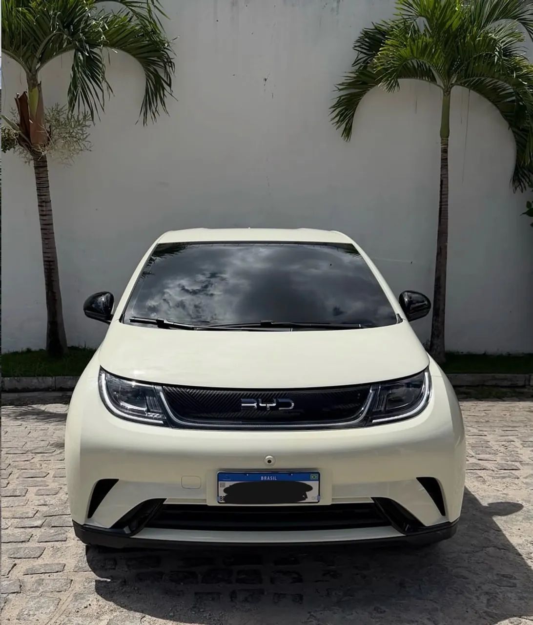 BYD Dolphin Plus (Elétrico) 2024 - Foto 4