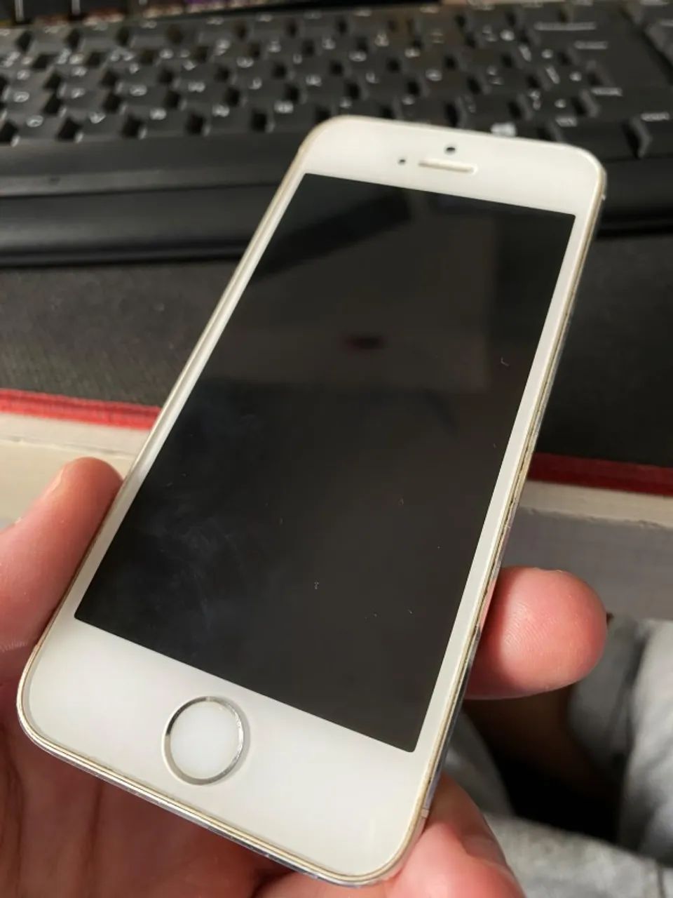 Iphone 5s Usado