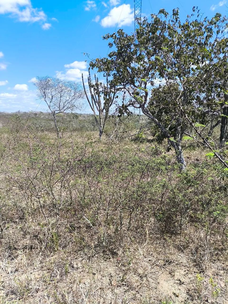 FAZENDA! - Foto 4