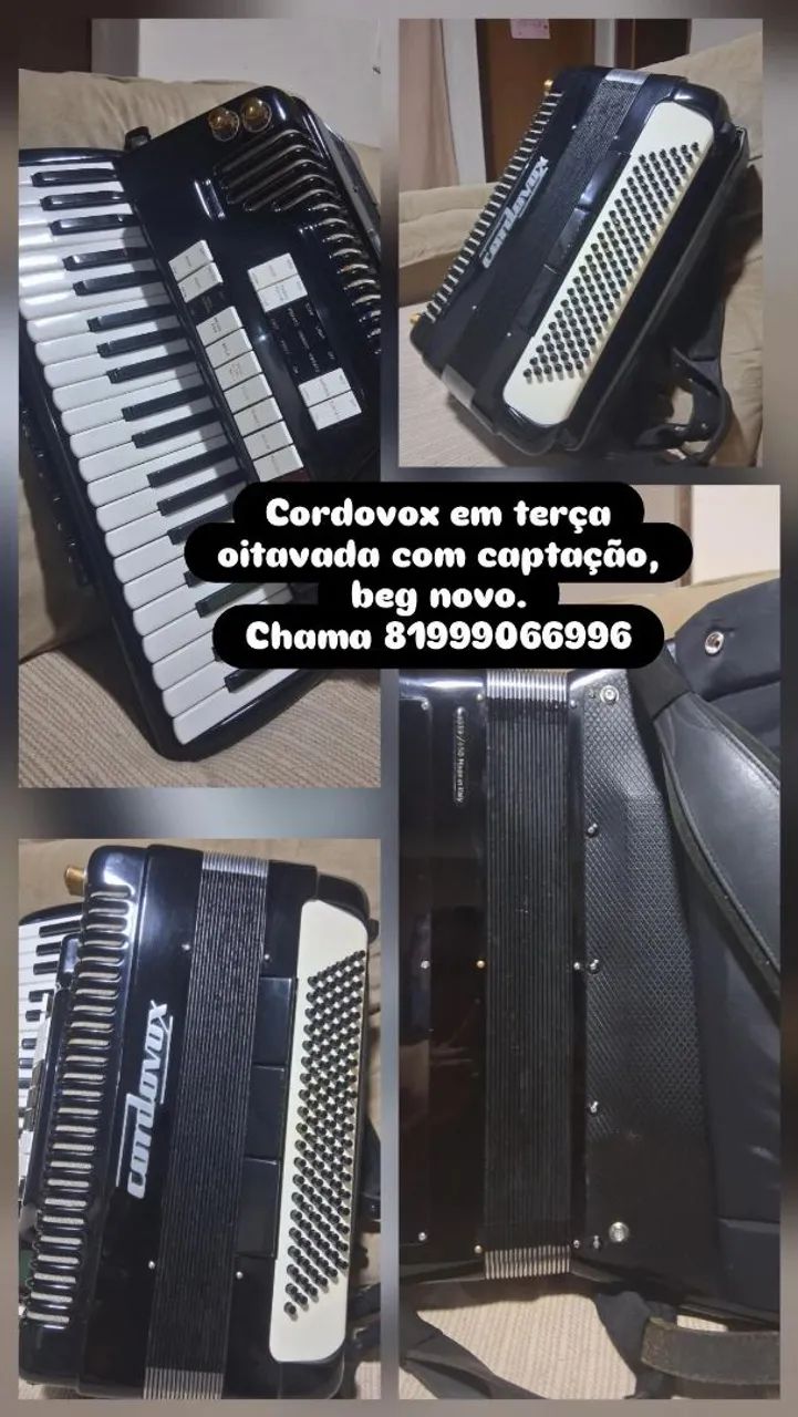 Acordeon a venda