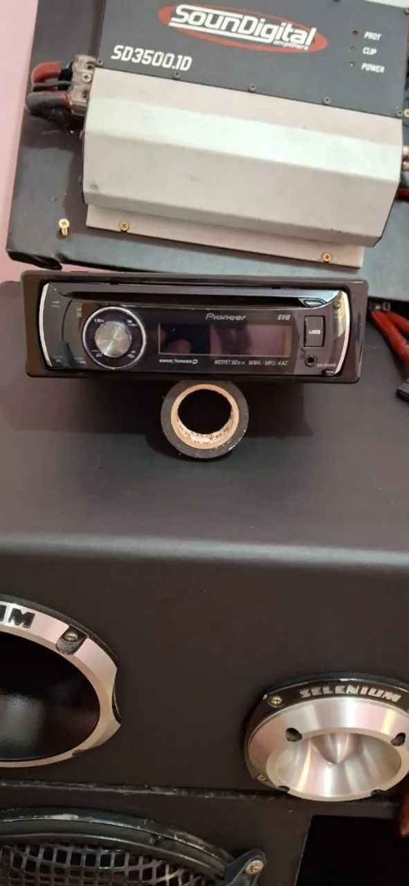 Pioneer golfinho ?