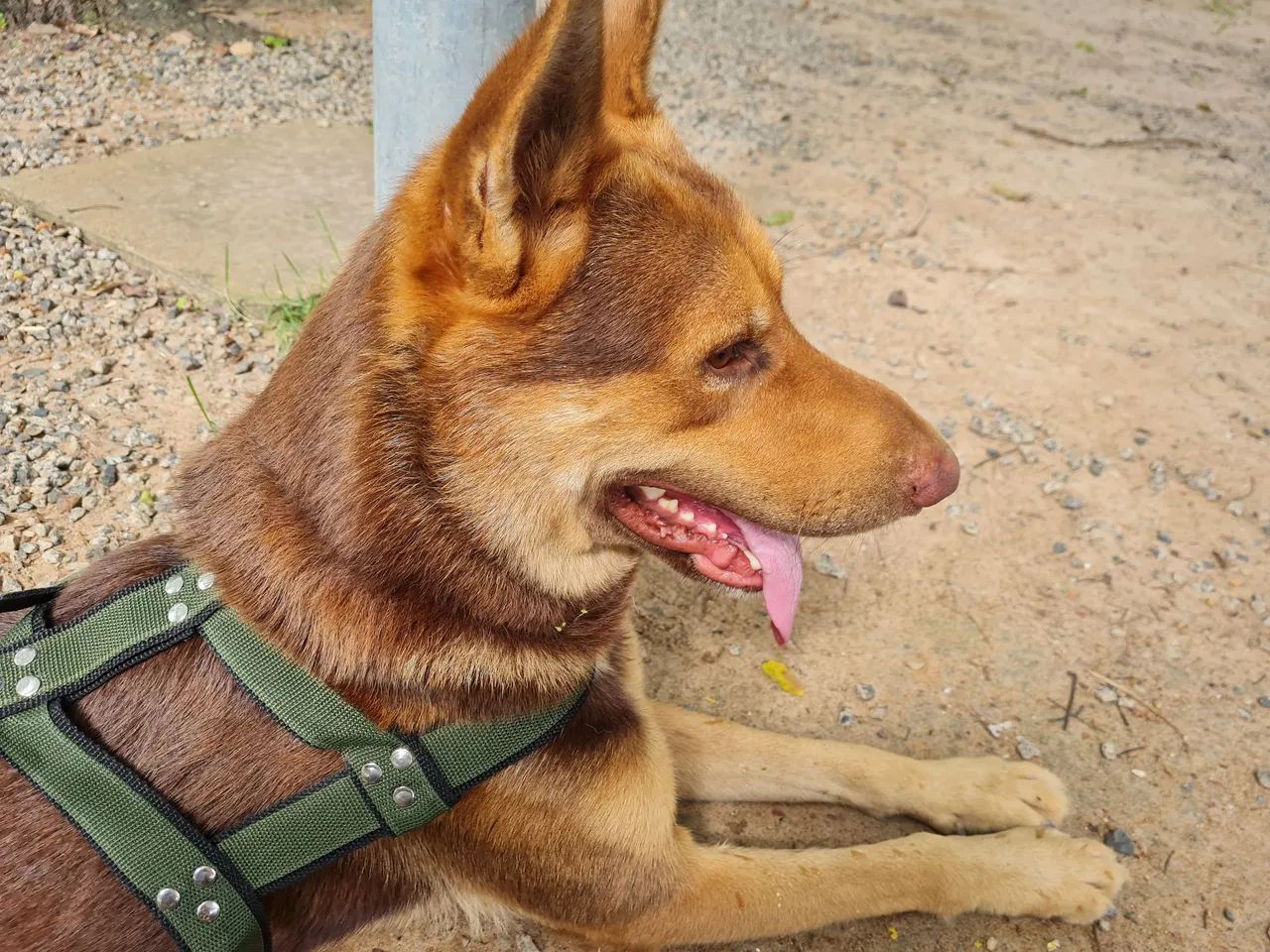 Namorada para o THOR - Foto 4