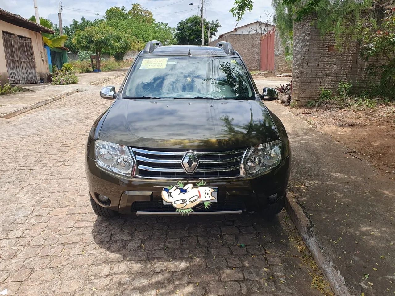 Renault Duster DUSTER DYNAMIQUE 1.6 FLEX 16V MEC. 2014