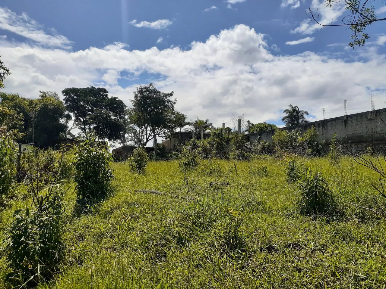 Vendo terreno 1000m - Foto 2