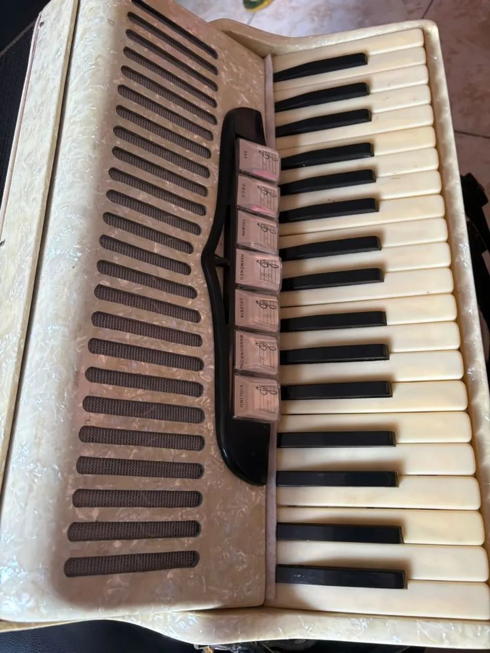 Acordeon  - Foto 4
