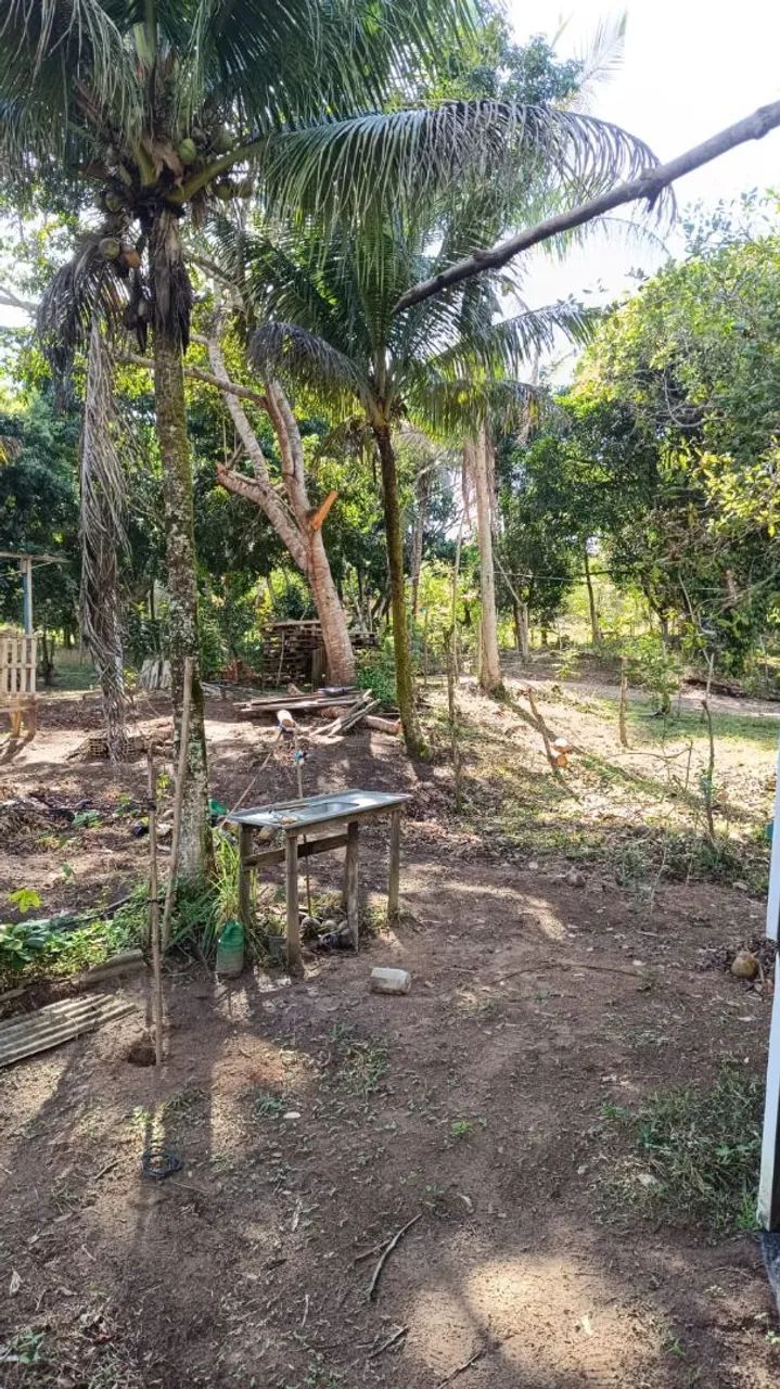 Vendo terreno em monte gordo 
