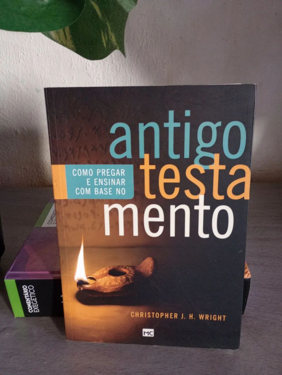 Livros bíblicos 