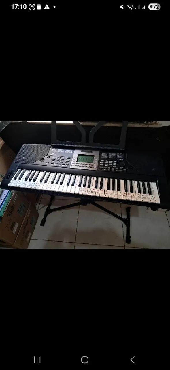 Teclado musical Pegasus 
