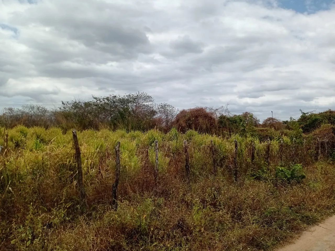 VENDO TERRENO EM SITIOS NOVOS CAUCAIA  - Foto 5