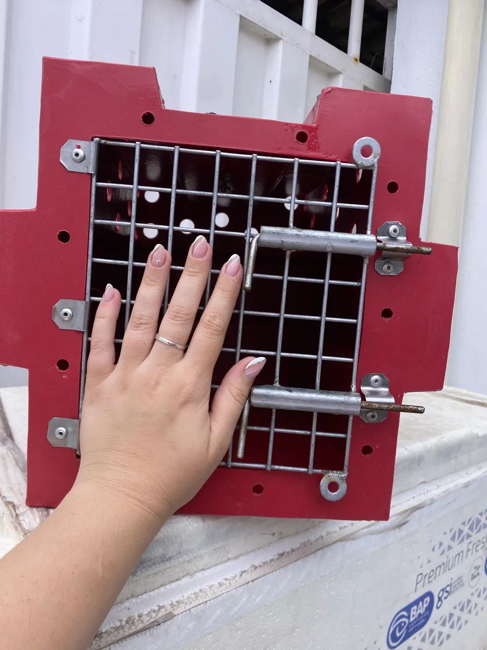 Caixa de transporte pet N 1 - pets pequenos ou filhotes 30x26 cm. Usado  - Foto 2