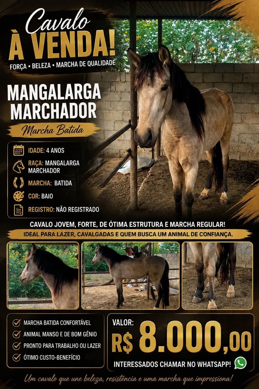 Cavalo mangalarga 